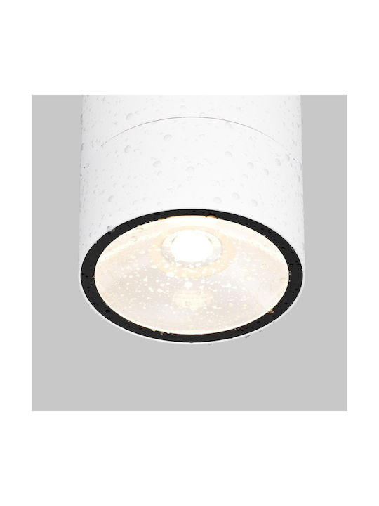 Maytoni Outdoor Ceiling Spot with Integrated LED in White Color O310CL-L5W3K