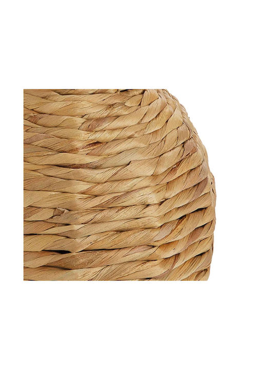 Βάζο Alexandra House Living Καφέ Eichhornia Crassipes 26 X 41 X 26 Cm
