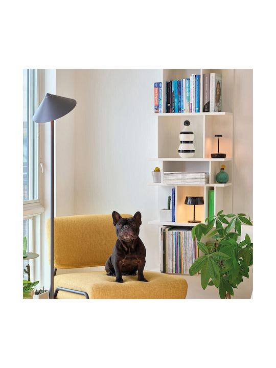 Zafferano Pina Xxl Outdoor Floor Lamp with Warm White Light