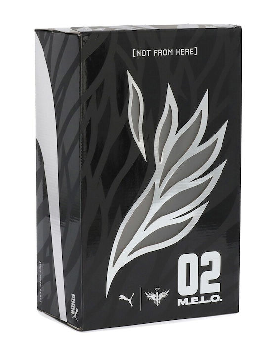 Mb.02 Lo Low Basketball Shoes White