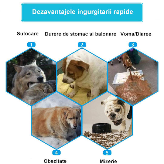 Bol De Mâncare Pentru Câine Din Propilenă