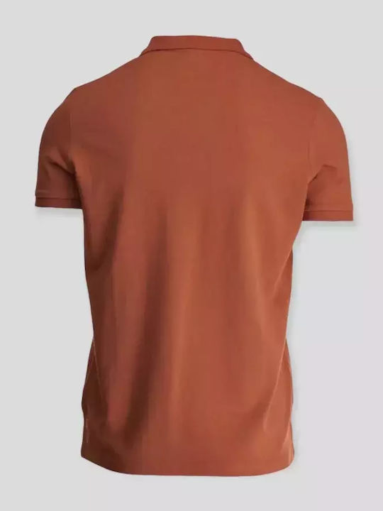 King Polo T-Shirt Brown