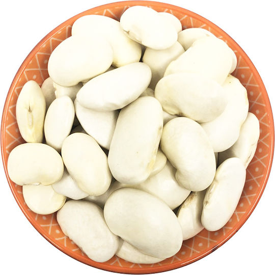 Giant Climbing Bean 10g Giant Climbing Bean 10g