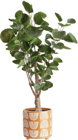 Happy Rainbow Vaze Pentru Plante D14cm Galben Ceramică Diametru 14 Cm Înălțime 14 Cm Happy Rainbow Vaze Pentru Plante D14cm Galben Ceramică Diametru 14 Cm Înălțime 14 Cm