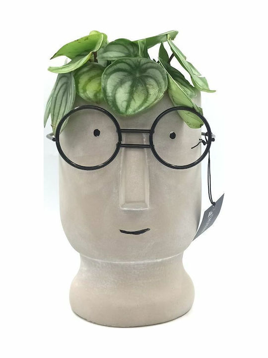 Каспо Керамично Face Pot Диаметър 16см X 22см Височина