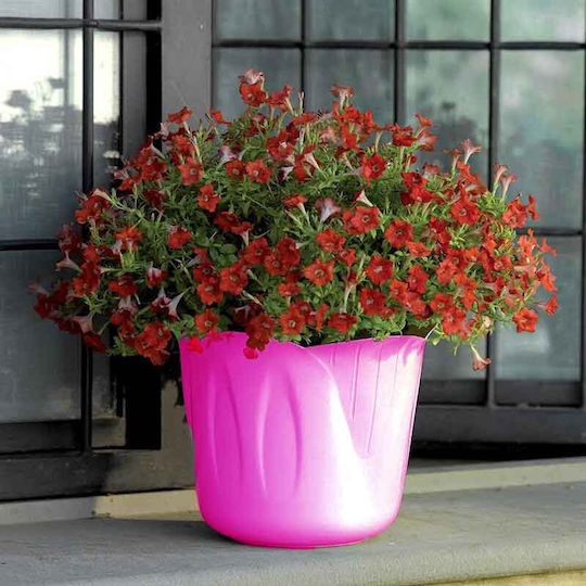 Bama Κασπώ Πλαστικό Ø15x12cm 1lt Σχέδιο 3 Μεγέθη Φούξια Mimosa Pot Ιταλίας