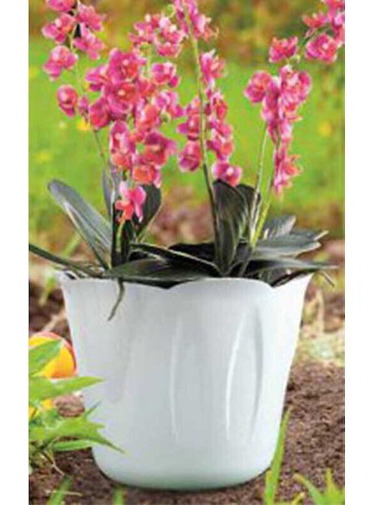 Bama Plant Pots Plastic Ø15x12cm 1lt Design 3 Sizes Brown Mimosa Pot Italy