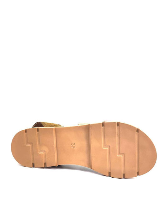 Pegabo