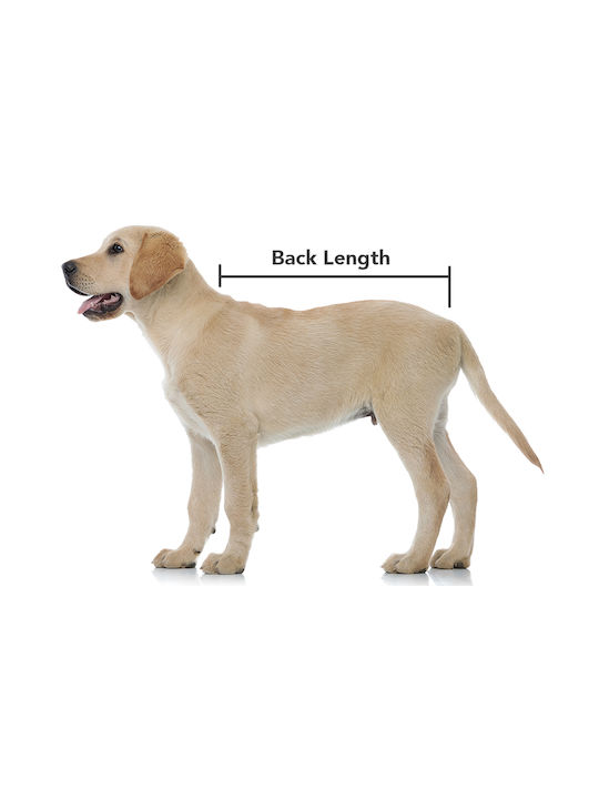 Suitical Recovery Double Sleeves 2xs Hundeshirts
