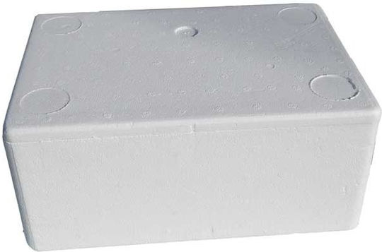Foam Box Refrigerator Pastry Shop No1 27.2x18x8.3