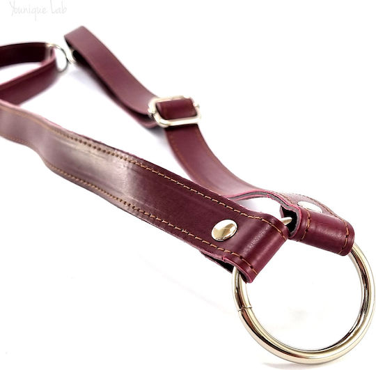 Set of Adjustable Burgundy Backpack Straps with Silver Metal Elements