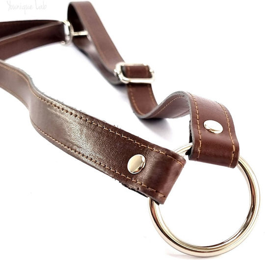 Set of Adjustable Brown Chocolate Backpack Straps Silver Metal Elements