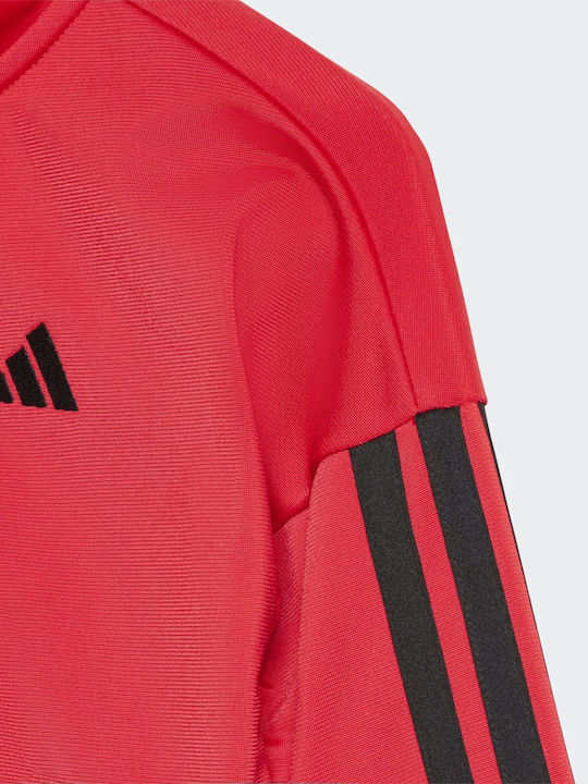 adidas adidas