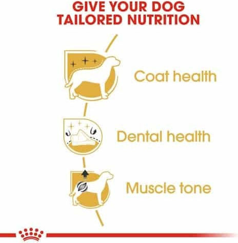 Royal Canin 1.5kg Dry Food for Adult Dogs with Tuna