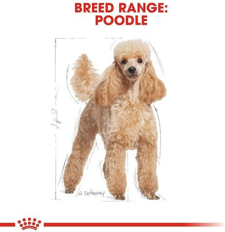 Royal Canin 1.5kg Dry Food for Adult Dogs with Tuna