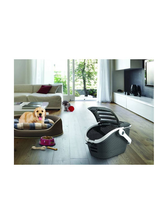 Curver Kurv Für Katzen Transport Grau