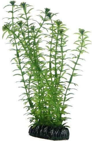 Πλαστικα Φυτα Ενυδρειου Hobby Plant Lagarosiphon 34 Cm