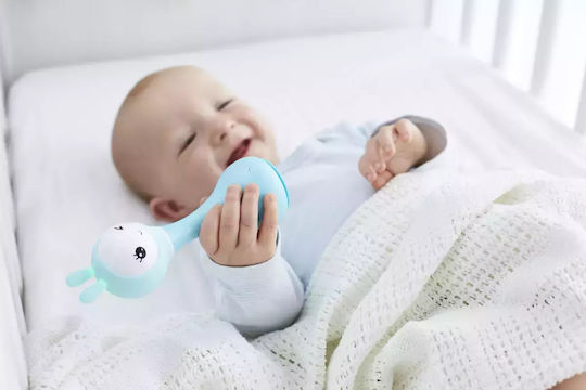 Tierchen mit Musik