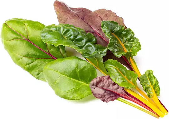 Click and Grow Σπόροι Σέσκουλου 9τμχ