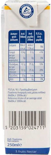 Arion Food Χυμός Νέκταρ 250ml