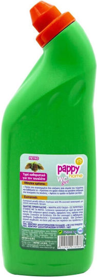 Pappy Home Υγρό Καθαριστικό Λεκάνης με Άρωμα Πεύκο 750ml