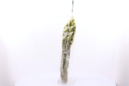 Ιlios Organic Product Mountain Tea 50gr