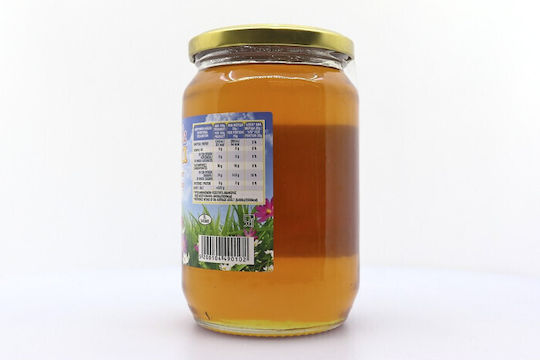 Regina Μέλι Ανθέμια 900gr