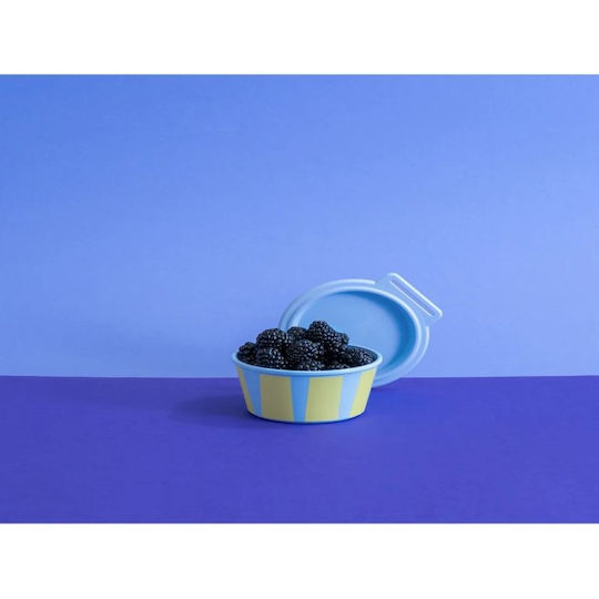 Koziol Schalen Futter 250ml in Hellblau Farbe