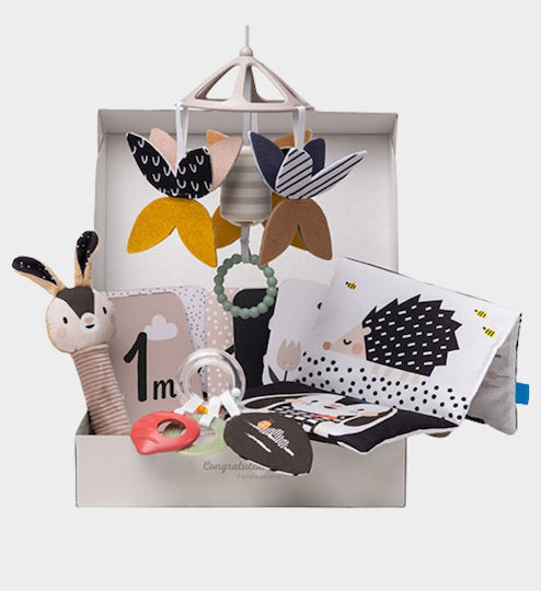 Baby Gift Set for Babies 13475 for 0-6 Months 10 Pieces