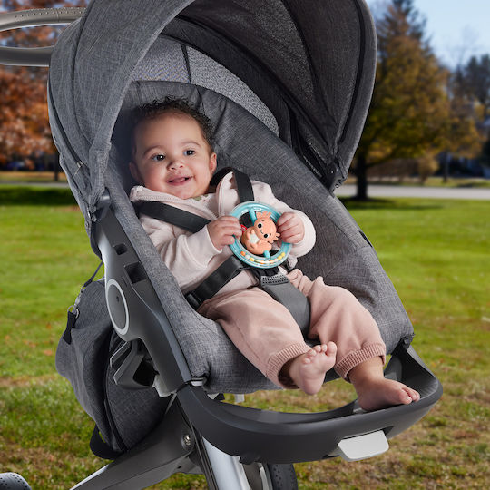 Fisher Price Κουδουνίστρα Ζωακια Sensimals για 3+ Μηνών