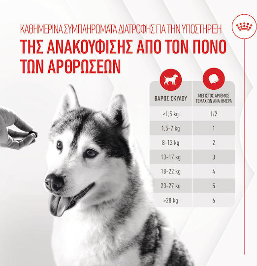 Royal Canin Joint & Ageing Chews Λιχουδιά Σκύλου 240gr για Αρθρώσεις