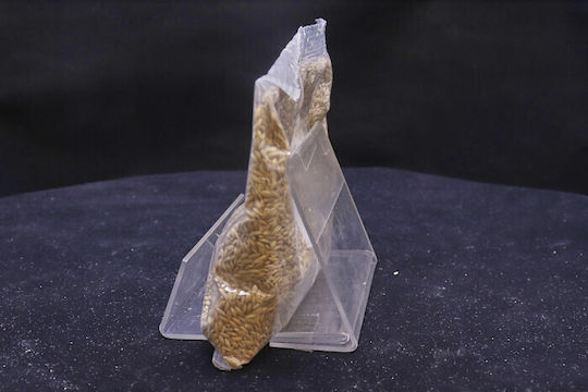 Matina Futter für Vögel Distel 200gr