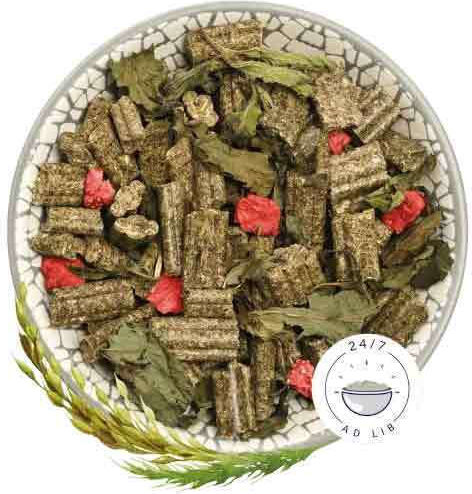 Bunny Nature Τροφή για Κουνέλι με Φράουλα 1.5kg