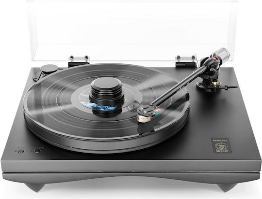 Gold Note Pianosa Pick-Up Black Lacquer