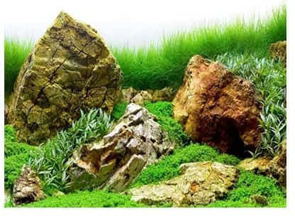 River Rock Sea Green Aquarium Background