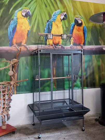 King Kong Cages Cușcă Păsări 101x89x180cm.
