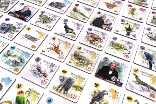 Board Game Evolutionary Insight Compendium for 2-5 Players 8+ Years Old (PL) Rebel Games