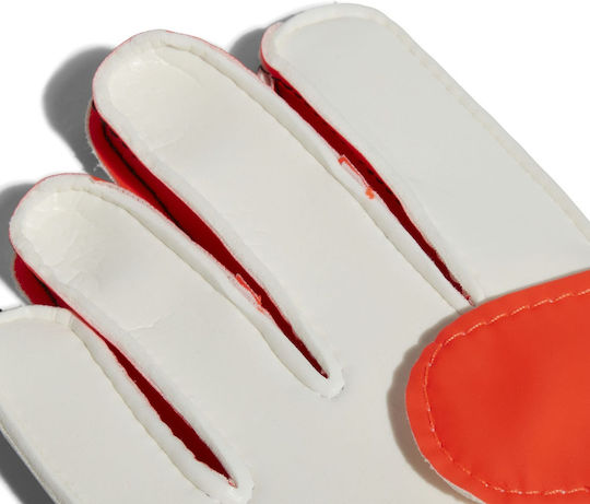 adidas Predator Training Kids Goalkeeper Gloves Multicolour