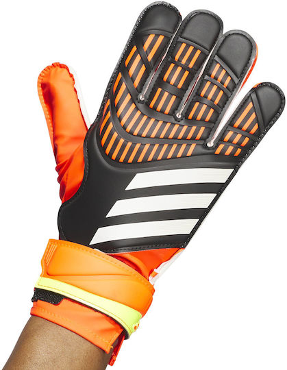 adidas Predator 20 Training Голмански ръкавици за Възрастни Многоцветни