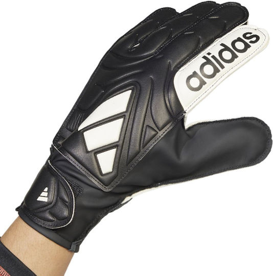 adidas Copa Gl Clb Adults Goalkeeper Gloves Black