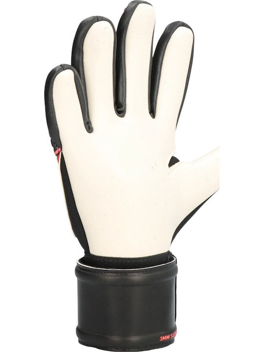 PUMA Future Match Nc Torwarthandschuhe Erwachsene Mehrfarbig