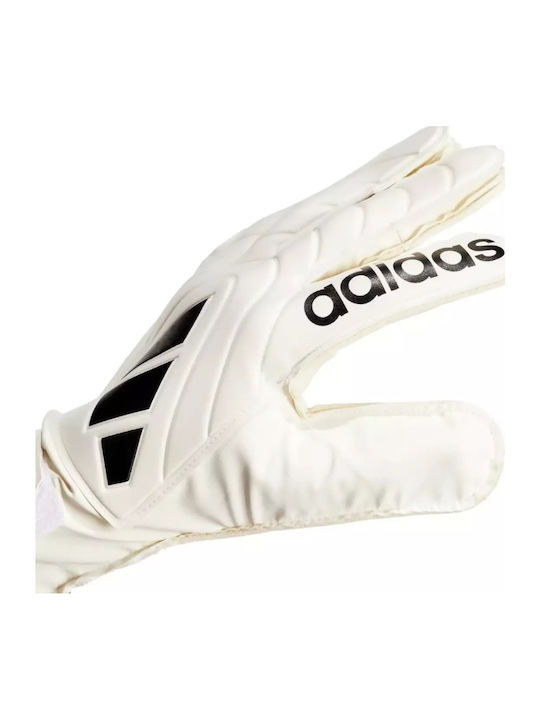 adidas Copa Gl Clb Γάντια Τερματοφύλακα Ενηλίκων Μπεζ