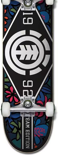Element Complete Shortboard Πολύχρωμο