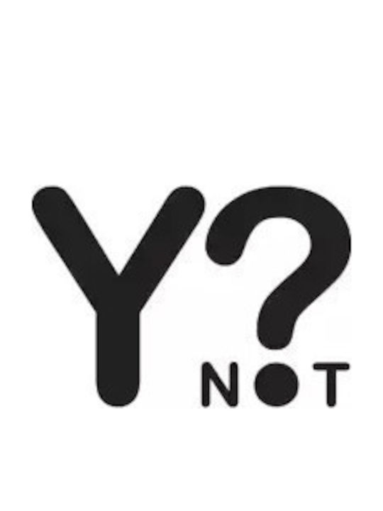 Y Not? Y Not?