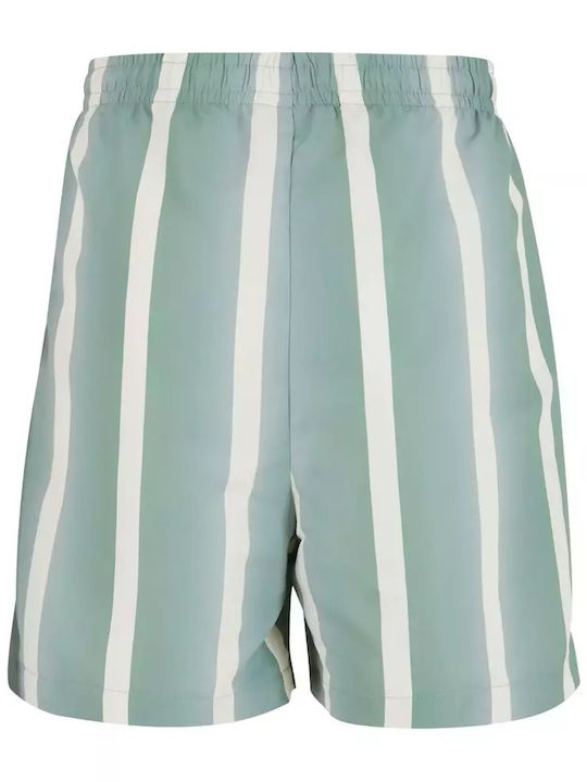 Men's Swimwear Shorts Green/white Striped