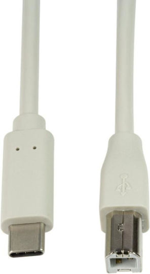 LogiLink USB 2.0 Cable USB-C male - USB-B Gray 1m (CU0160)
