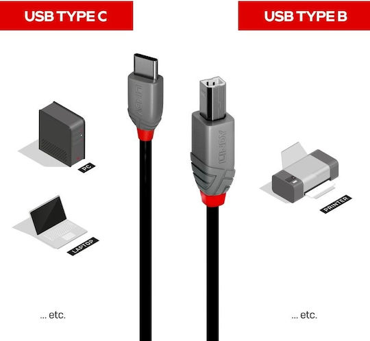 Lindy USB 2.0 Cable USB-C male - USB-B Μαύρο 1m 36941