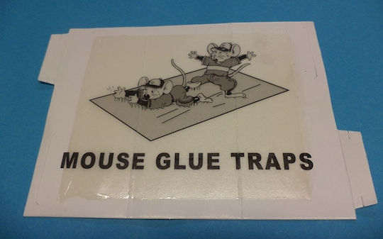 Glue Trap for Mice Ecological Set of 2 Pieces Size 18 x 14 Cm 102534