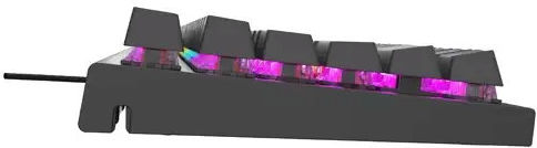 Genesis Thor 303 TKL Gaming Mechanical Keyboard with Outemu Brown switches and RGB lighting (English US)