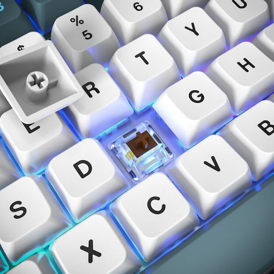 Montech MK87FR Gaming Mechanisches Tastatur Tenkeyless mit Gateron G-Pro Rot Schaltern und RGB Beleuchtung Englisch US Blau